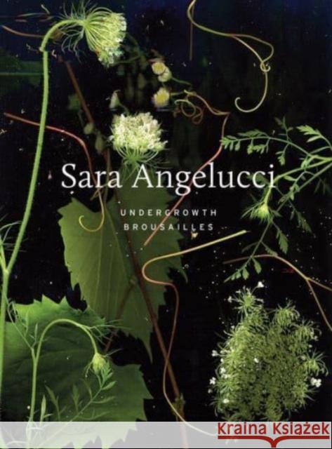 Sara Angelucci: Undergrowth / Brousailles Sara Angelucci Shannon Anderson B?n?dicte Ramade 9781770417403 ECW Press,Canada