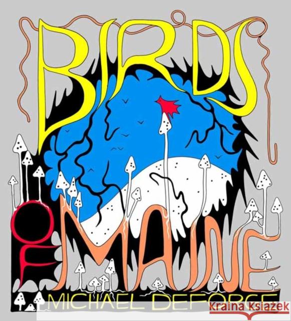 Birds of Maine Michael DeForge 9781770465664 Drawn and Quarterly