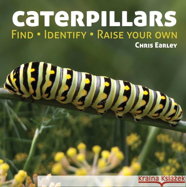 Caterpillars: Find - Identify - Raise Your Own Chris Earley 9781770851825 Firefly Books Ltd