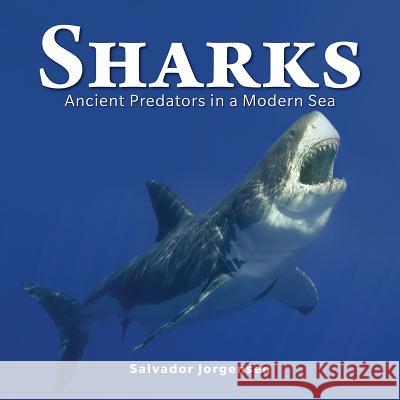Sharks: Ancient Predators in a Modern Sea Salvador Jorgensen 9781770852334 0