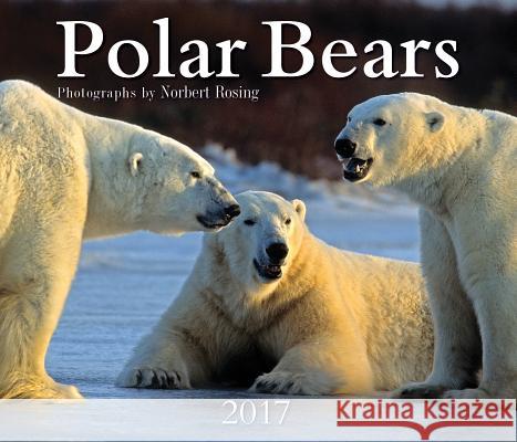 Polar Bears 2017 Norbert Rosing 9781770856776 Firefly Books Ltd