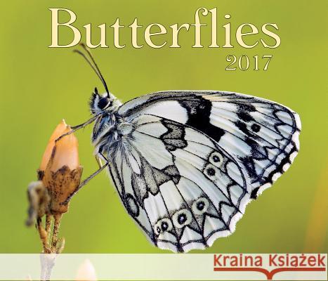 Butterflies 2017 Firefly Books 9781770857322 Firefly Books Ltd