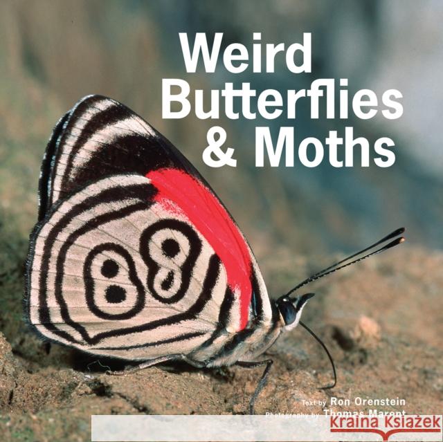 Weird Butterflies and Moths Ronald Orenstein Thomas Marent 9781770858145 Firefly Books