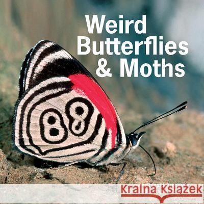 Weird Butterflies and Moths Ronald Orenstein Thomas Marent 9781770858152 Firefly Books