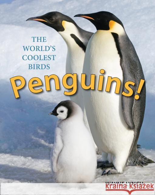 Penguins!: The World's Coolest Birds Wayne Lynch 9781770858589