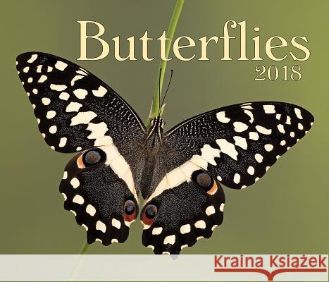 Butterflies 2018 Firefly Books 9781770858770 Firefly Books
