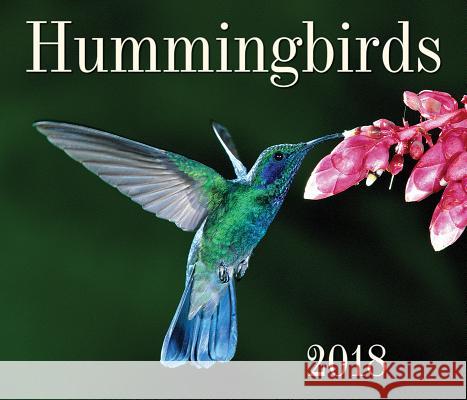 Hummingbirds 2018 Firefly Books 9781770858794 Firefly Books