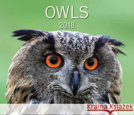 Owls 2018 Firefly Books 9781770858817 Firefly Books