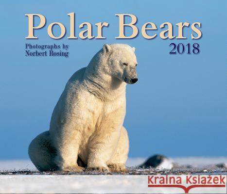 Polar Bears 2018 Norbert Rosing 9781770858824 Firefly Books