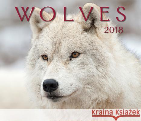 Wolves 2018 Firefly Books 9781770858909 Firefly Books