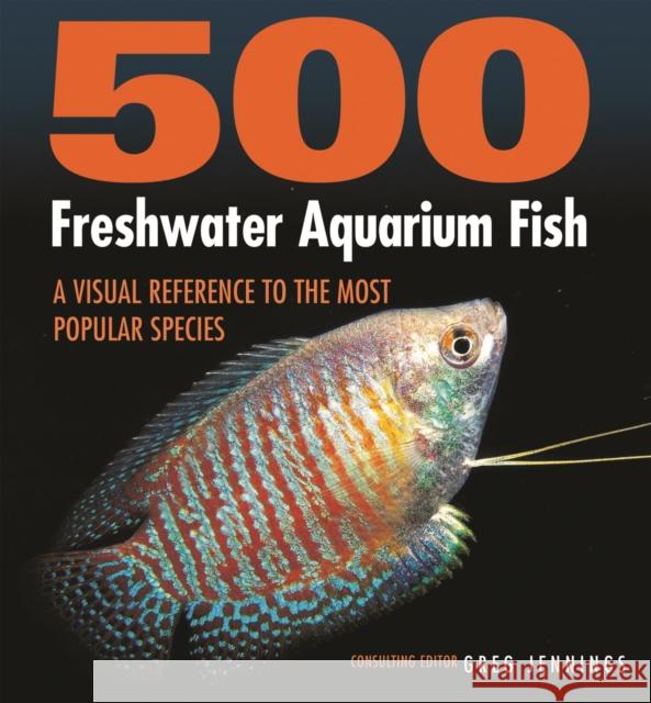 500 Freshwater Aquarium Fish: A Visual Reference to the Most Popular Species Greg Jennings 9781770859197 Firefly Books