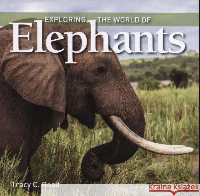 Exploring the World of Elephants Tracy Read 9781770859456 Firefly Books