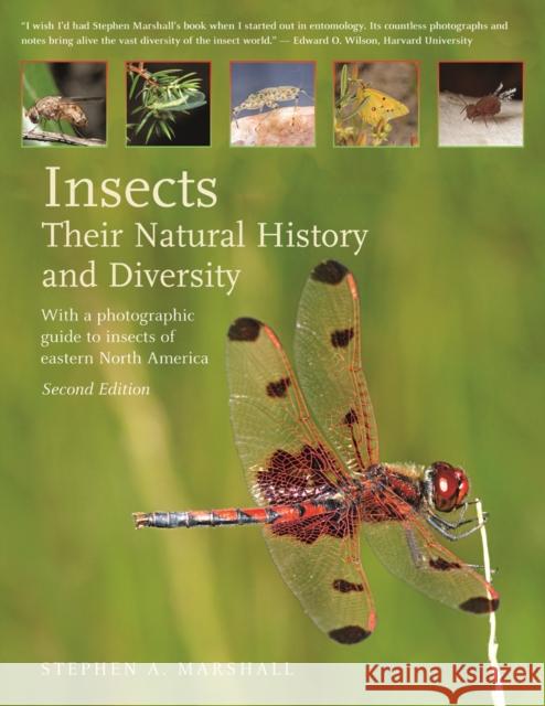 Insects: Their Natural History and Diversity: With a Photographic Guide to Insects of Eastern North America Stephen Marshall 9781770859623