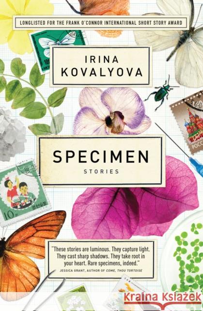 Specimen: Stories Kovalyova, Irina 9781770898172