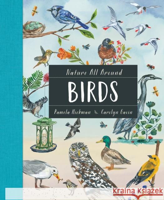 Nature All Around: Birds Pamela Hickman Carolyn Gavin 9781771388184 Kids Can Press