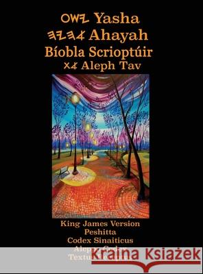 Yasha Ahayah Biobla Scrioptuir Aleph Tav (Irish Edition YASAT Study Bible) Timothy Neal Sorsdahl 9781771434805 CCB Publishing