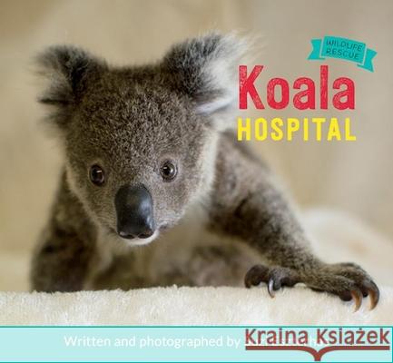 Koala Hospital Suzi Eszterhas Suzi Esterhas 9781771471404 Owlkids