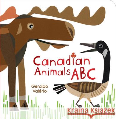Canadian Animals ABC Valerio 9781771473460