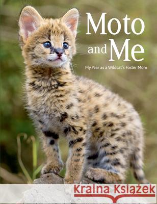 Moto and Me: My Year as a Wildcat's Foster Mom Suzi Eszterhas 9781771474269 Owlkids