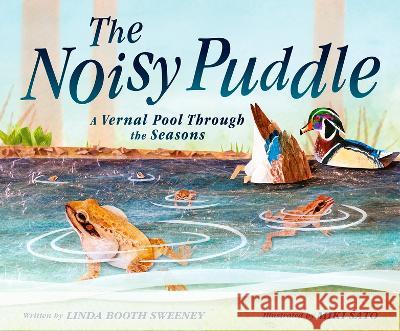 The Noisy Puddle: A Vernal Pool Through the Seasons Linda Boot Miki Sato 9781771475310 Owlkids