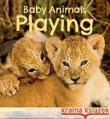 Baby Animals Playing Suzi Eszterhas 9781771475747 Owlkids