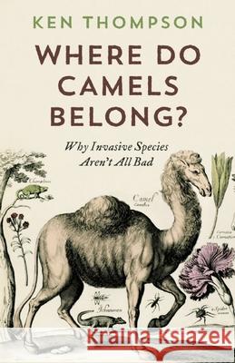 Where Do Camels Belong?: Why Invasive Species Aren't All Bad Ken Thompson 9781771640961 Greystone Books