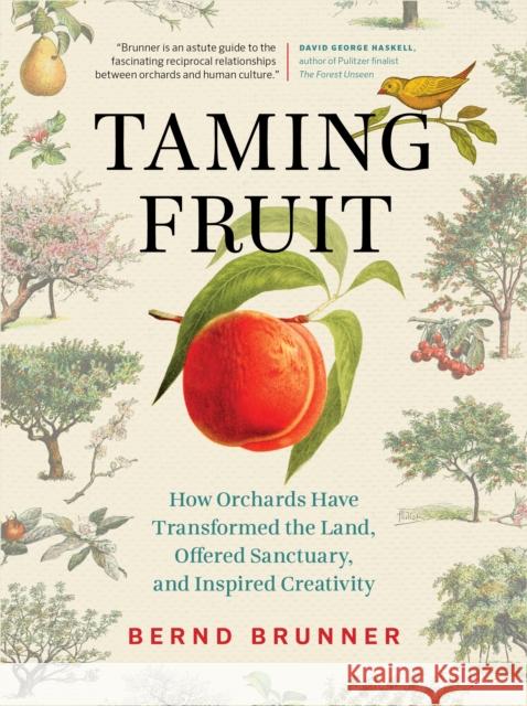 Taming Fruit: How Orchards Have Transformed the Land, Offered Sanctuary, and Inspired Creativity Bernd Brunner 9781771644075 Greystone Books