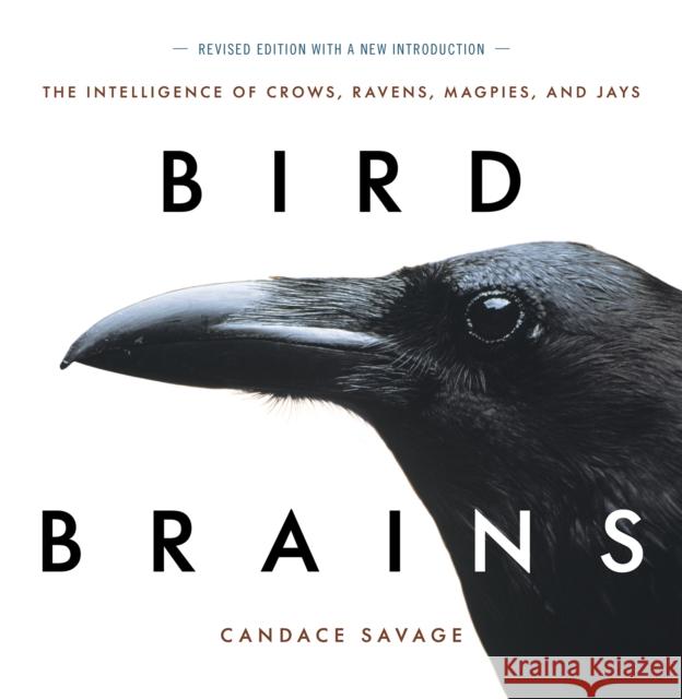 Bird Brains: The Intelligence of Crows, Ravens, Magpies, and Jays Candace Savage 9781771644259 Greystone Books