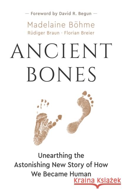 Ancient Bones: Unearthing the Astonishing New Story of How We Became Human  9781771647519 Greystone Books,Canada