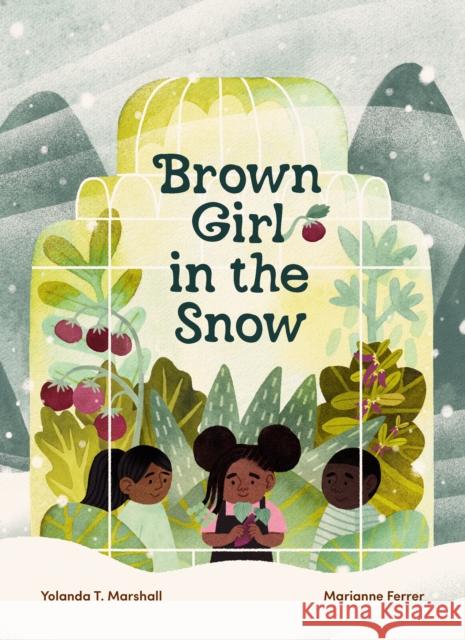 Brown Girl in the Snow Yolanda T. Marshall 9781771649261