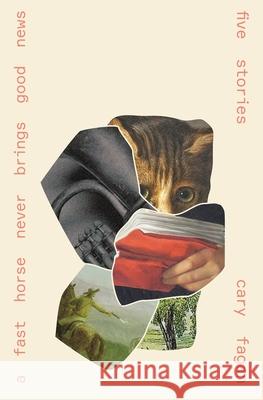 A Fast Horse Never Brings Good News Cary Fagan 9781771669511 Book*hug Press