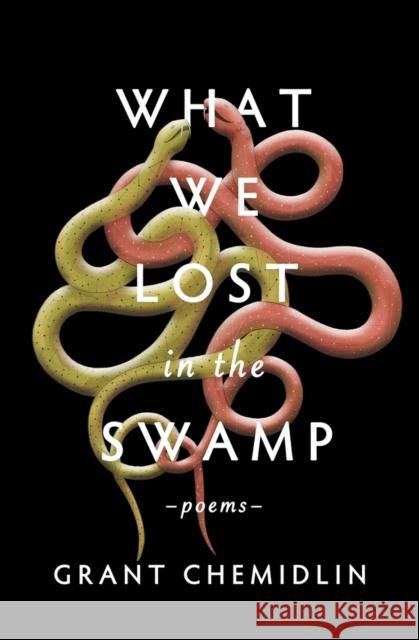 What We Lost in the Swamp: Poems Grant Chemidlin 9781771682893 Central Avenue Publishing