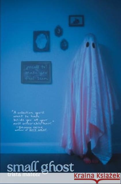 Small Ghost Trista Mateer 9781771683869 Central Avenue Publishing