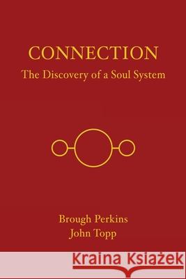 Connection: The Discovery of a Soul System Brough Perkins John Topp 9781771804738 Iguana Books