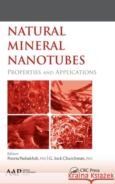 Natural Mineral Nanotubes: Properties and Applications Pooria Pasbakhsh G. Jock Churchman 9781771880565 Apple Academic Press