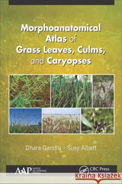 Morphoanatomical Atlas of Grass Leaves, Culms, and Caryopses Dhara Gandhi Susy Albert 9781771888486