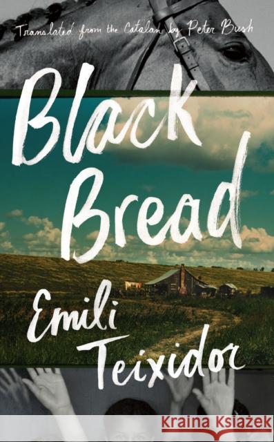 Black Bread Emili Teixidor Peter Bush 9781771960908