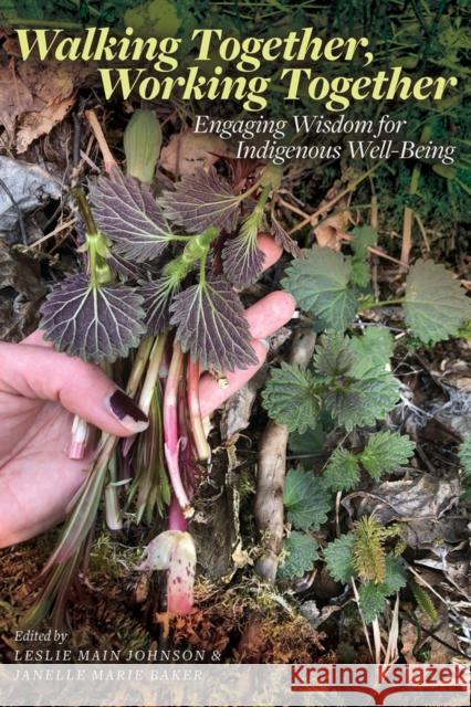 Walking Together, Working Together: Engaging Wisdom for Indigenous Well-Being Leslie Mai 9781772125375 University of Alberta Press