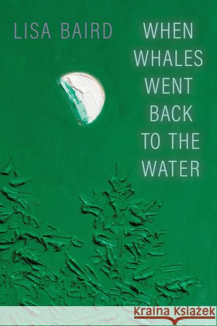 When Whales Went Back to the Water Lisa Baird 9781772127966 University of Alberta Press