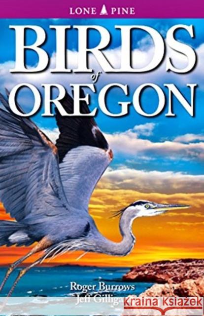 Birds of Oregon Roger Burrows, Jeff Gilligan, Ted Nordhagen 9781772130225 Lone Pine Publishing,Canada