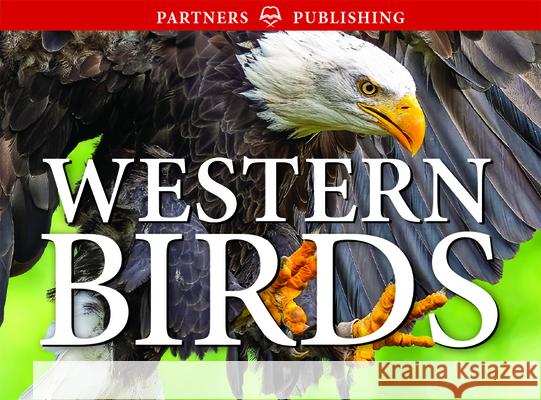 Western Birds: Pocket Guide Krista Kagume Gregory Kennedy Andy Bezener 9781772131321