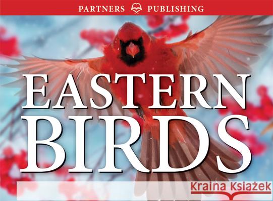 Eastern Birds: Pocket Guide Krista Kagume Gregory Kennedy Roger Burrows 9781772131338