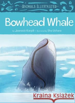 Animals Illustrated: Bowhead Whale Karpik, Joanasie 9781772271621 Inhabit Media