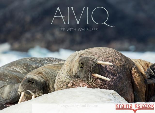 Aiviq: Life with Walruses Paul Souders 9781772272338 Inhabit Media
