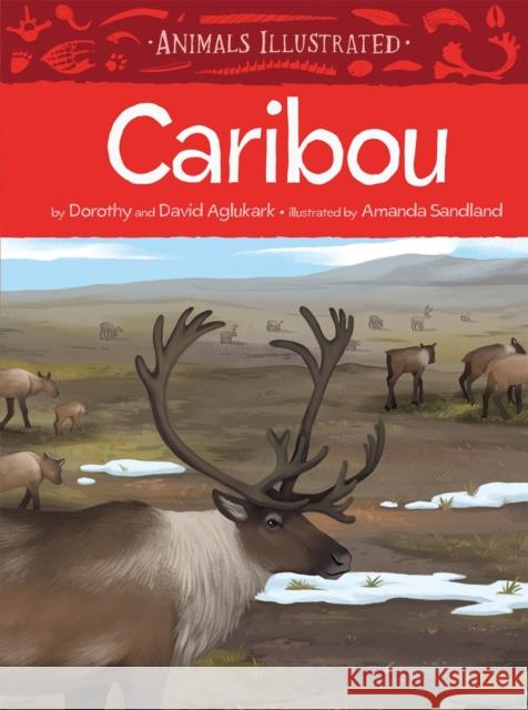 Animals Illustrated: Caribou Aglukark, Dorothy 9781772272345 Inhabit Media