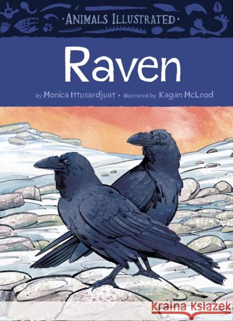 Animals Illustrated: Raven Monica Ittusardjuat 9781772275230 Inhabit Media Inc