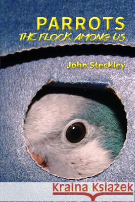 Parrots: The Flock Among Us, Deluxe Colour Edition John Steckley Angelika Steckley 9781772441055 Rock's Mills Press