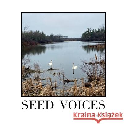 Seed Voices Sheldon H. Clark 9781772443776 Rock's Mills Press