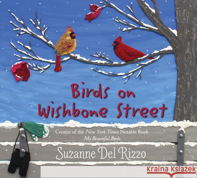 Birds on Wishbone Street Suzanne Del Rizzo 9781772782196 Pajama Press