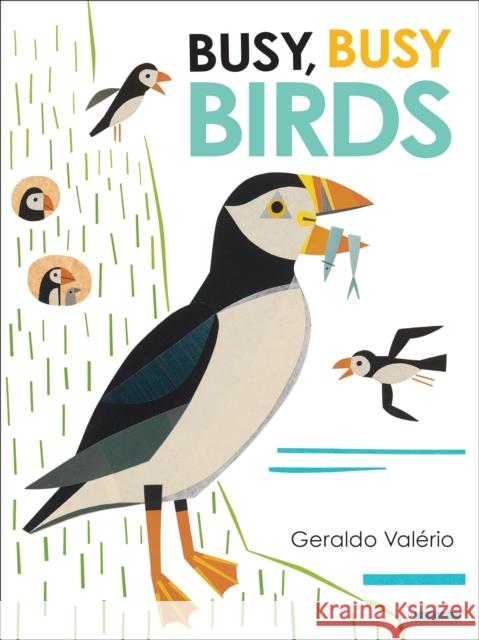 Busy, Busy Birds Val 9781773066011 Groundwood Books
